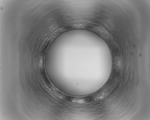 X0000059080602200510281725