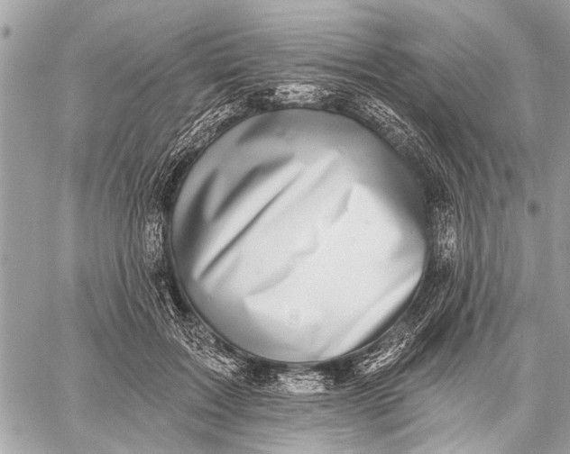 X0000059080603200510281725