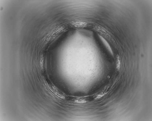 X0000059080604200510281725