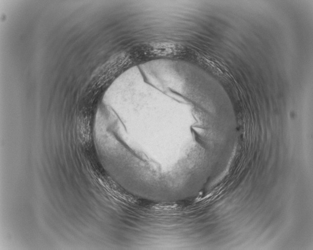 X0000059080606200510281725