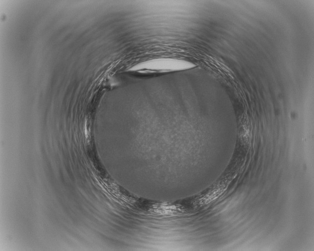 X0000059080607200510281725