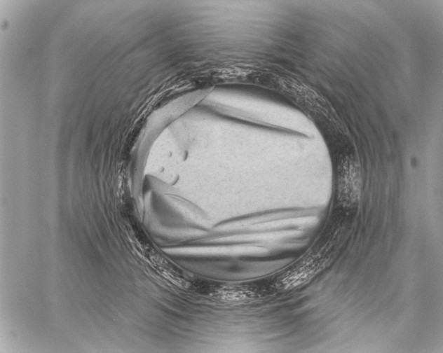 X0000059080608200510281725