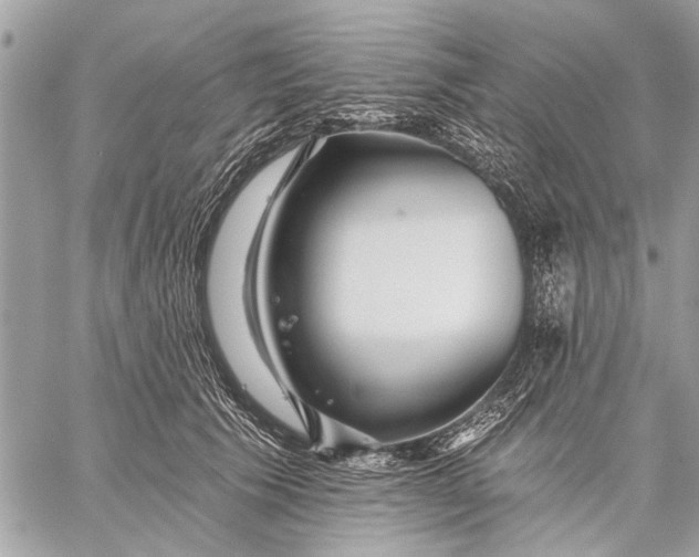 X0000059080609200510281725