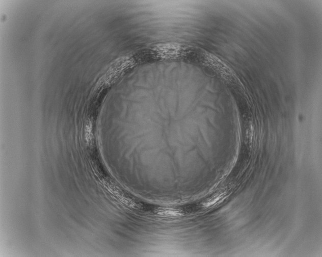 X0000059080610200510281725