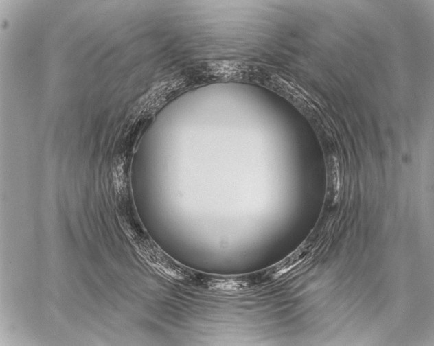 X0000059080611200510281725