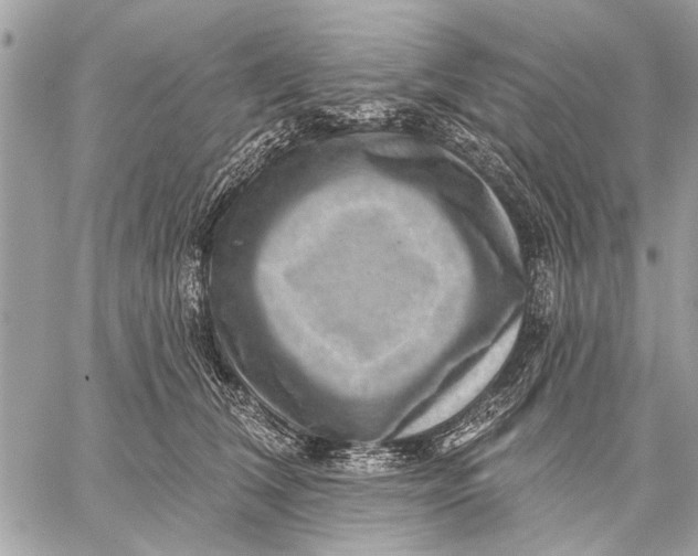 X0000059080612200510281725