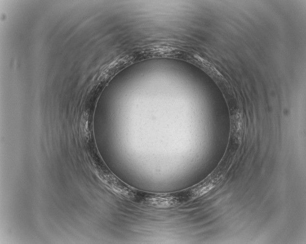 X0000059080615200510281725