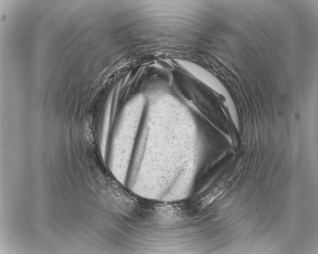 X0000059080616200510281725