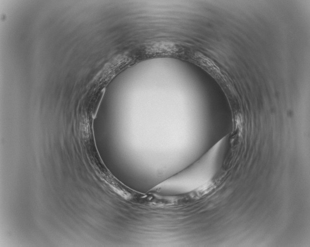 X0000059080617200510281725