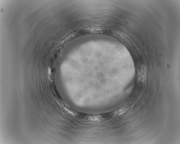 X0000059080618200510281725