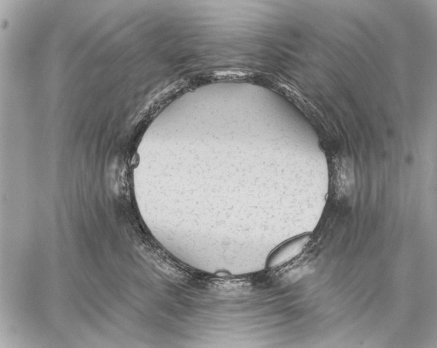 X0000059080619200510281725