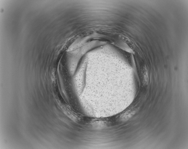 X0000059080620200510281725