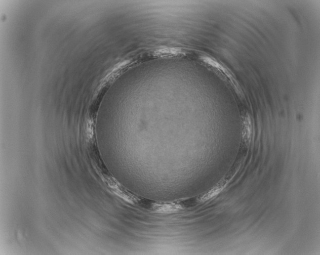 X0000059080621200510281725