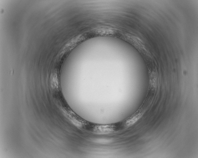 X0000059080622200510281725