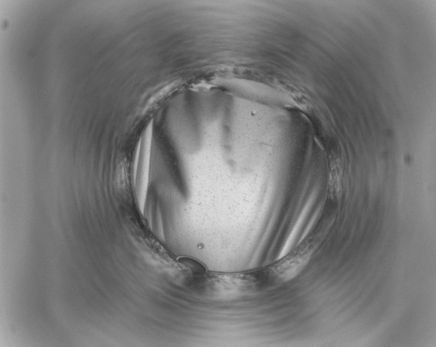 X0000059080623200510281725