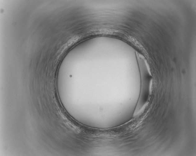 X0000059080625200510281724