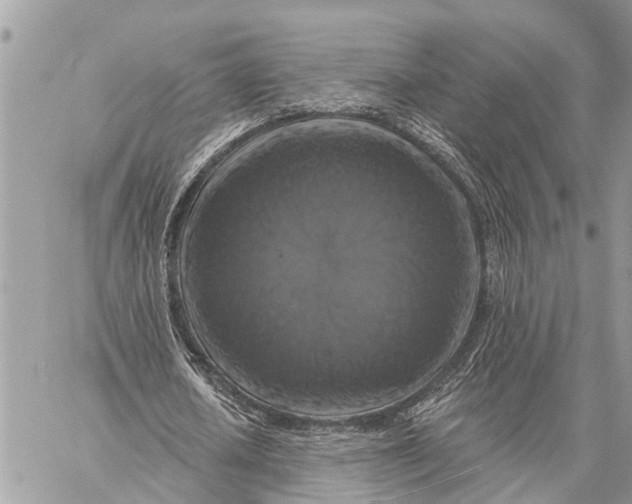 X0000059080626200510281724