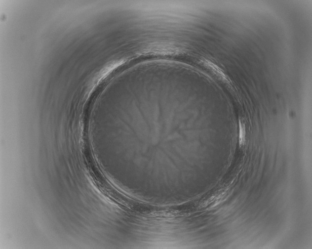 X0000059080627200510281724