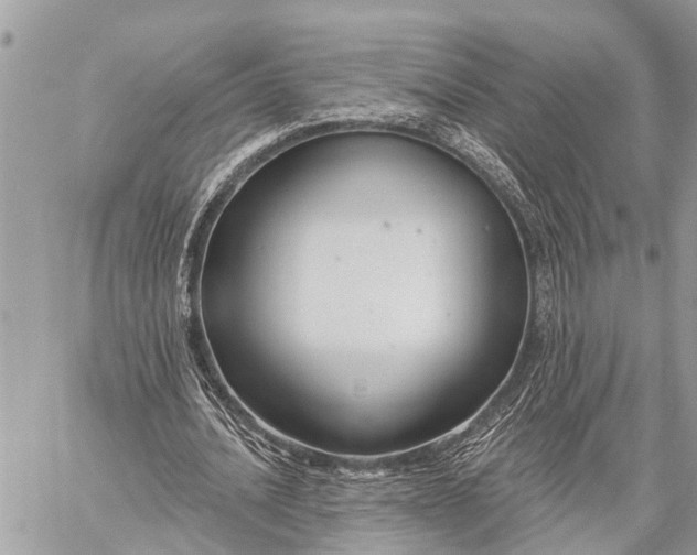 X0000059080628200510281724