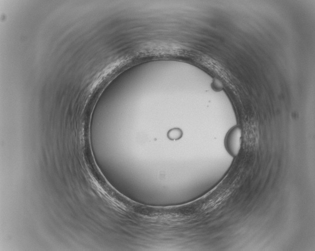 X0000059080629200510281724