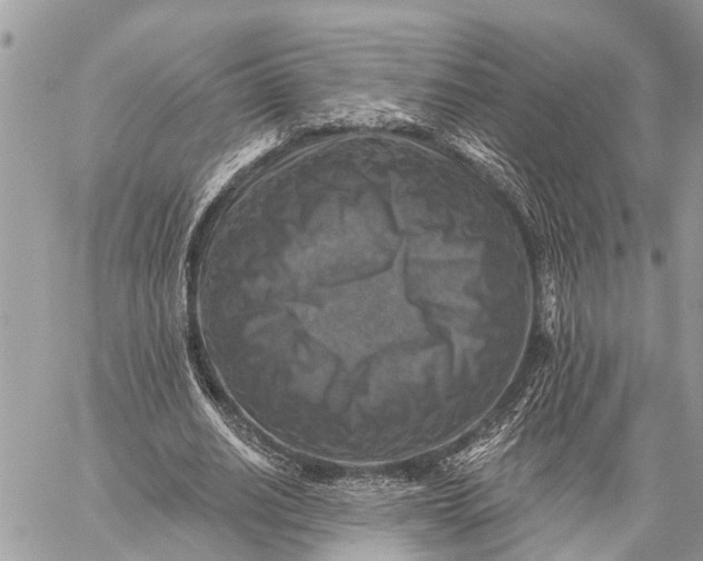 X0000059080630200510281724