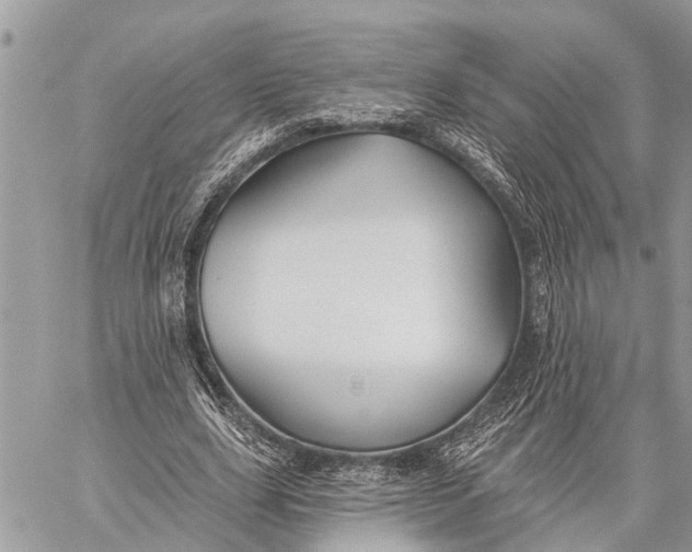 X0000059080631200510281724