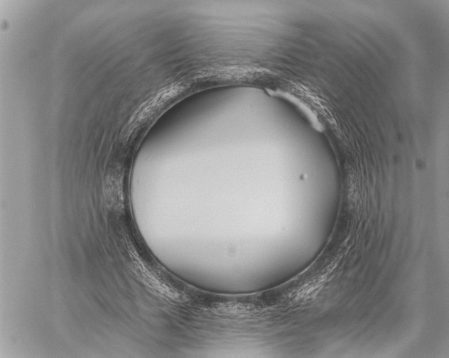 X0000059080633200510281724