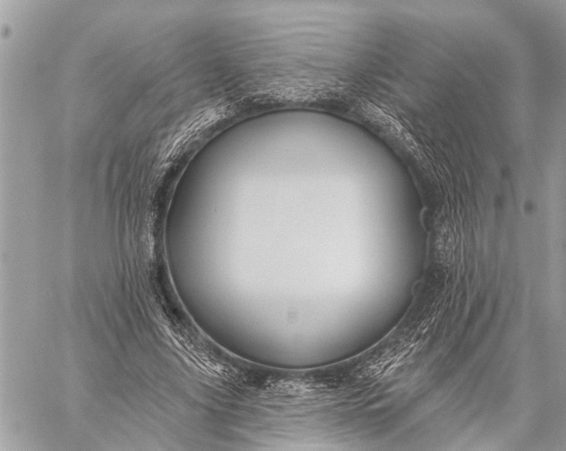 X0000059080635200510281724