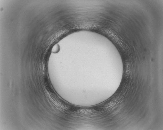 X0000059080636200510281724