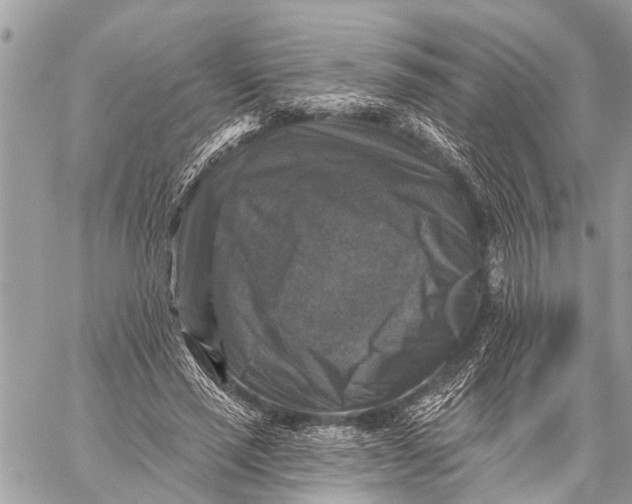 X0000059080637200510281724