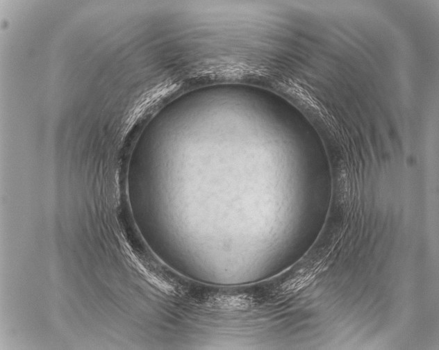 X0000059080638200510281724