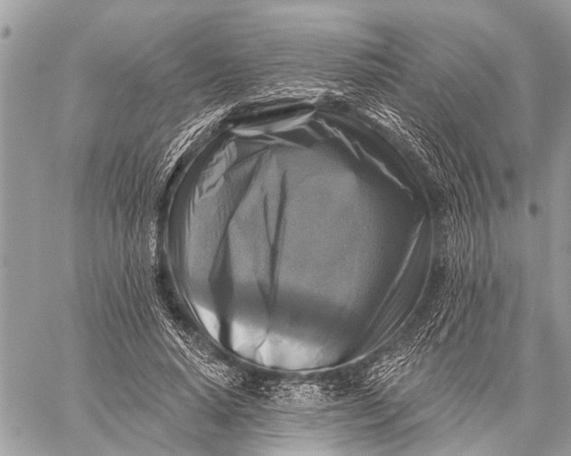 X0000059080640200510281724