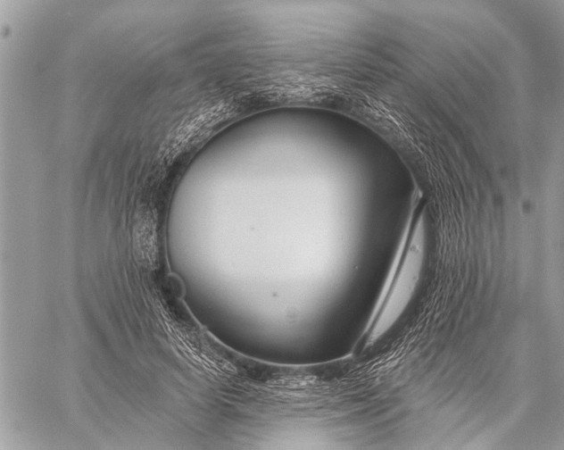 X0000059080642200510281724