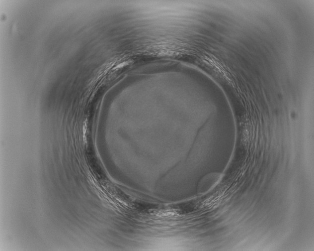 X0000059080643200510281724