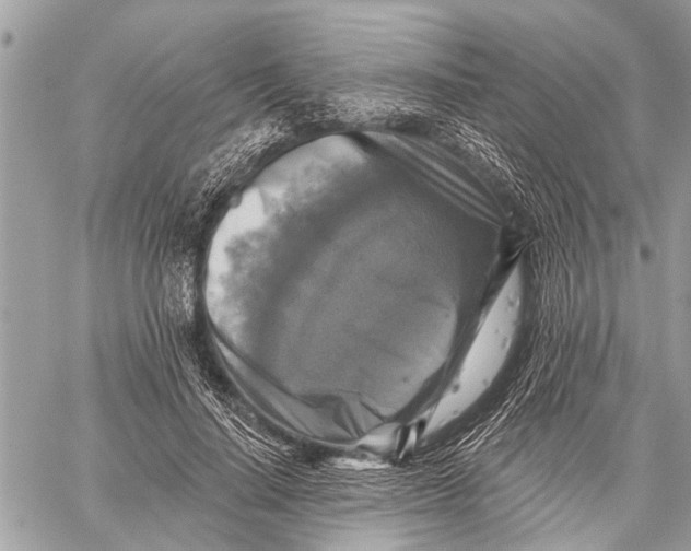 X0000059080644200510281724