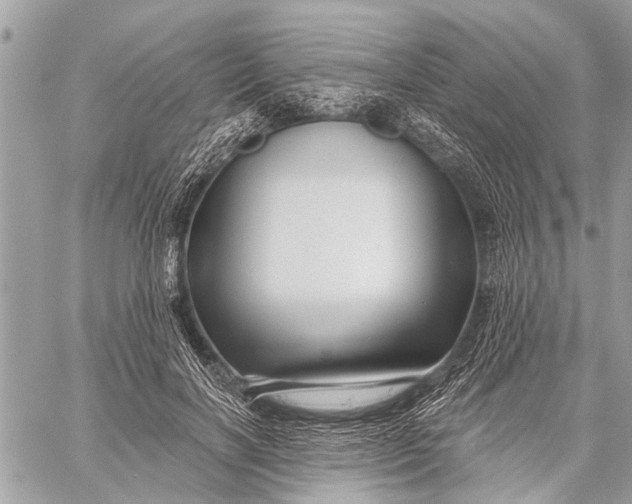 X0000059080646200510281724