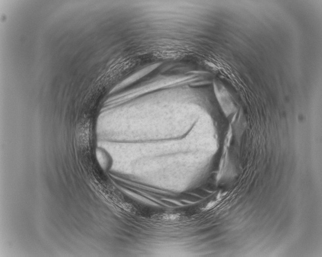 X0000059080647200510281724