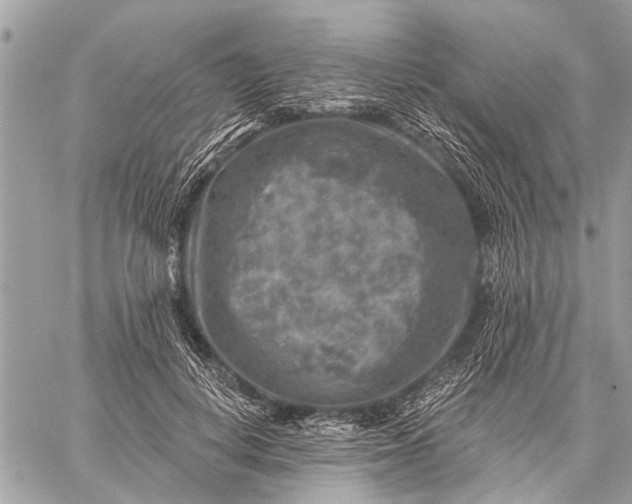 X0000059080648200510281724