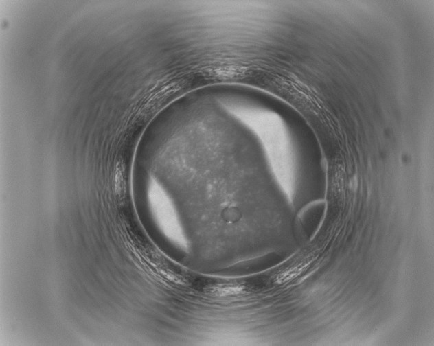 X0000059080651200510281725