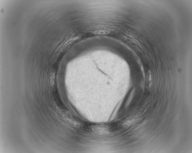 X0000059080652200510281725