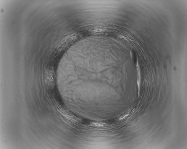 X0000059080654200510281725