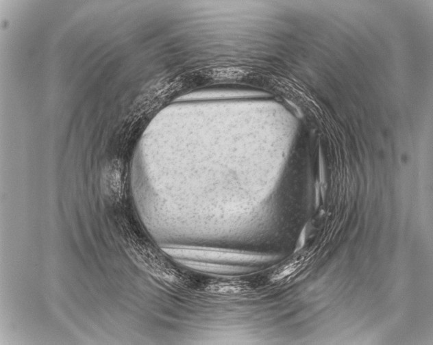 X0000059080655200510281725