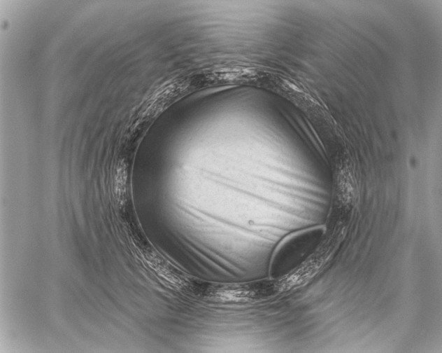 X0000059080657200510281725