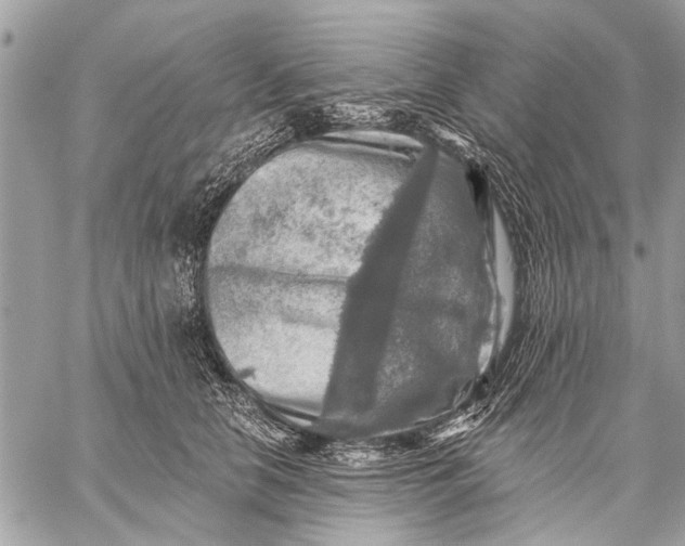 X0000059080658200510281725