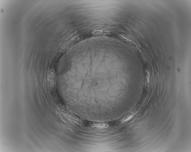 X0000059080659200510281725