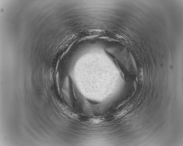 X0000059080662200510281725