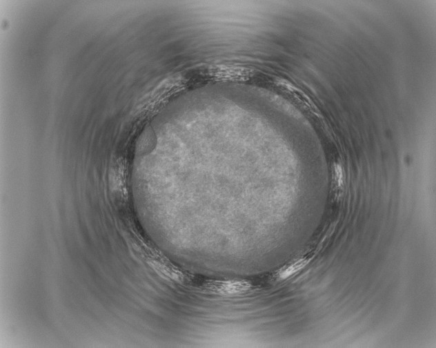 X0000059080663200510281725