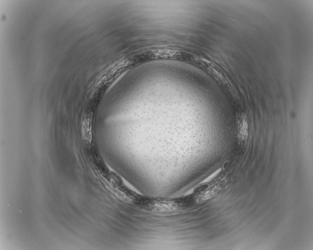 X0000059080666200510281725