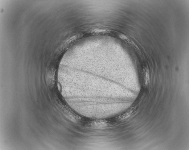 X0000059080668200510281725