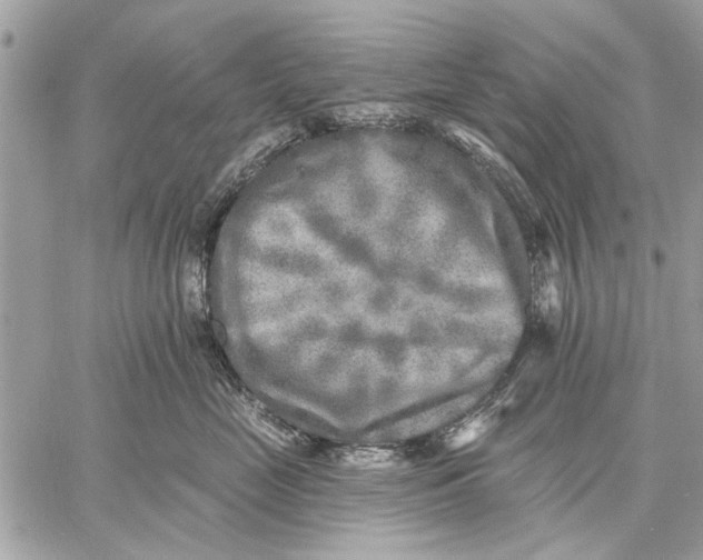 X0000059080669200510281725